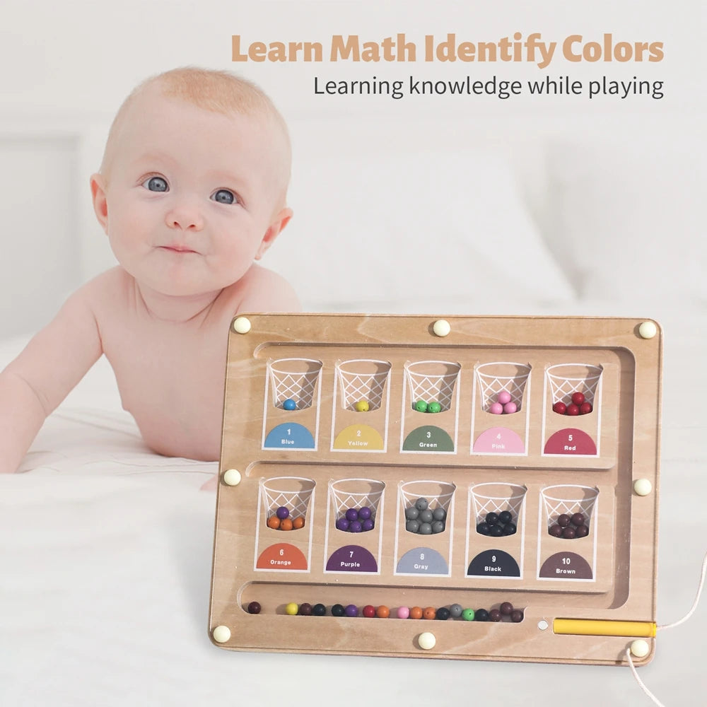 Magnetic board Basketball Sorting