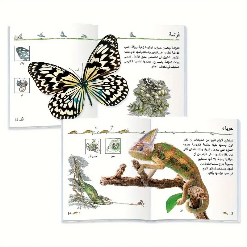 My First Arabic Encyclopedia Series