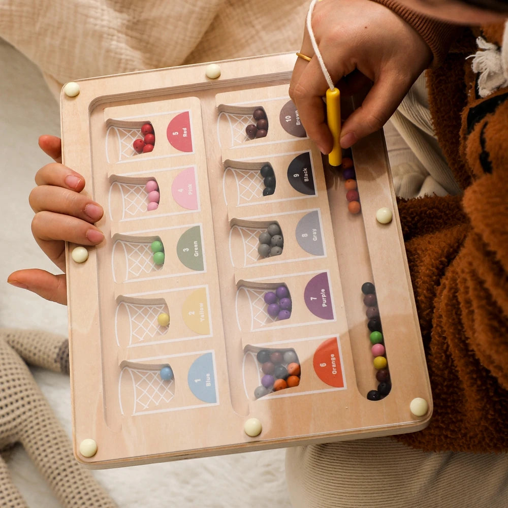 Magnetic board Basketball Sorting