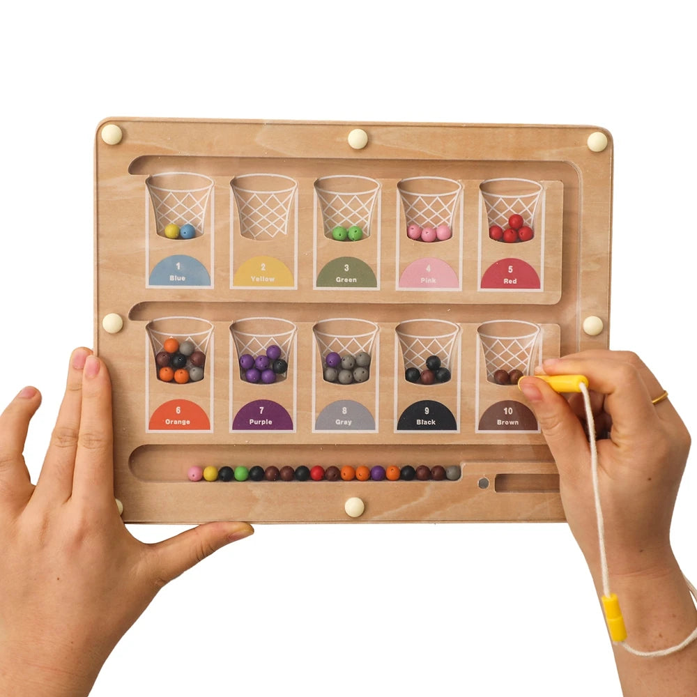 Magnetic board Basketball Sorting