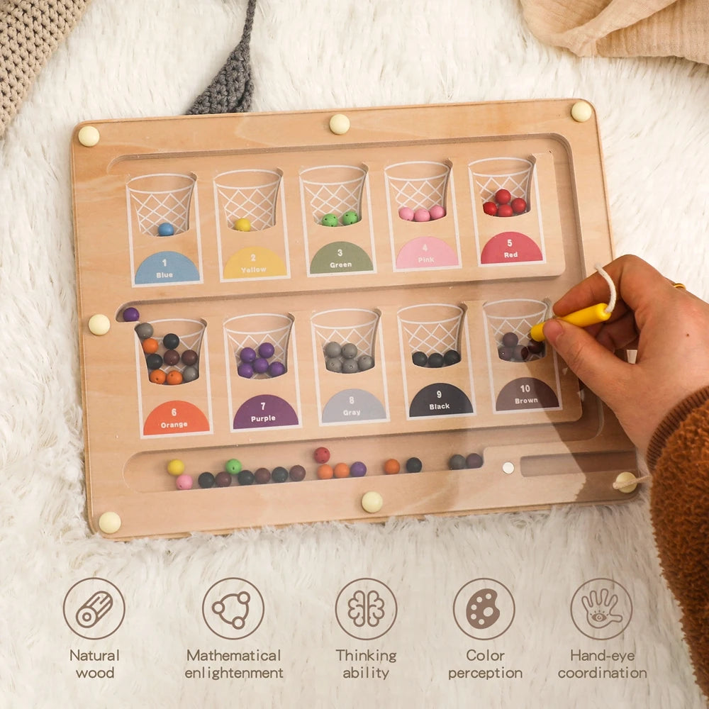 Magnetic board Basketball Sorting