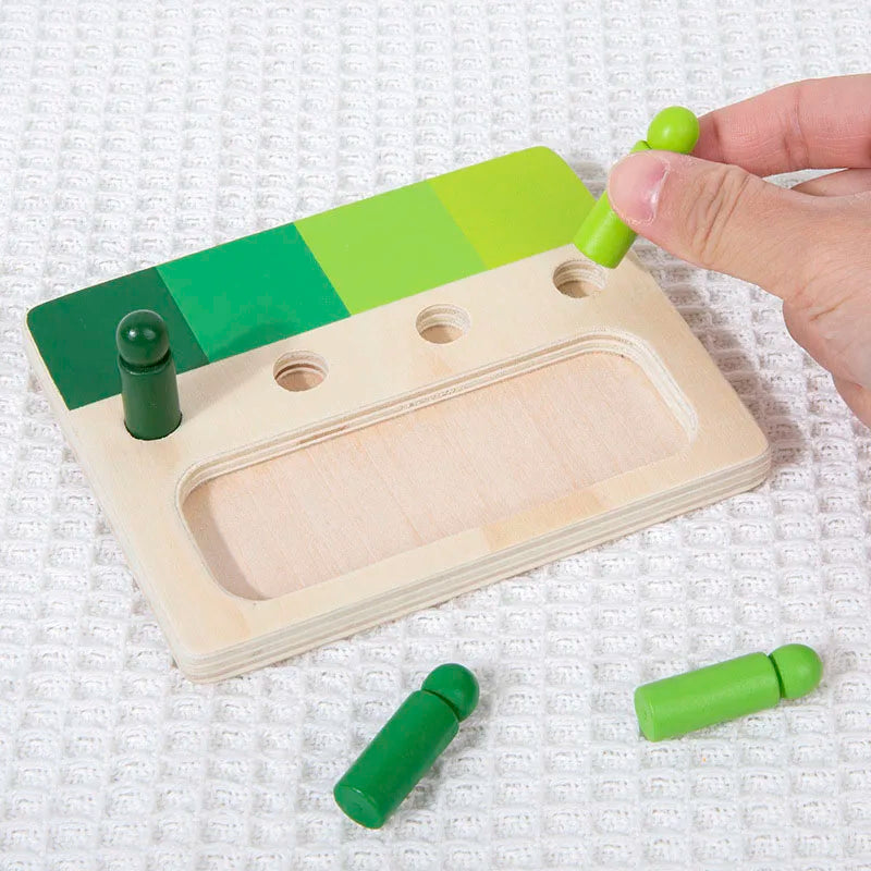 Wooden Montessori Toy Colors
