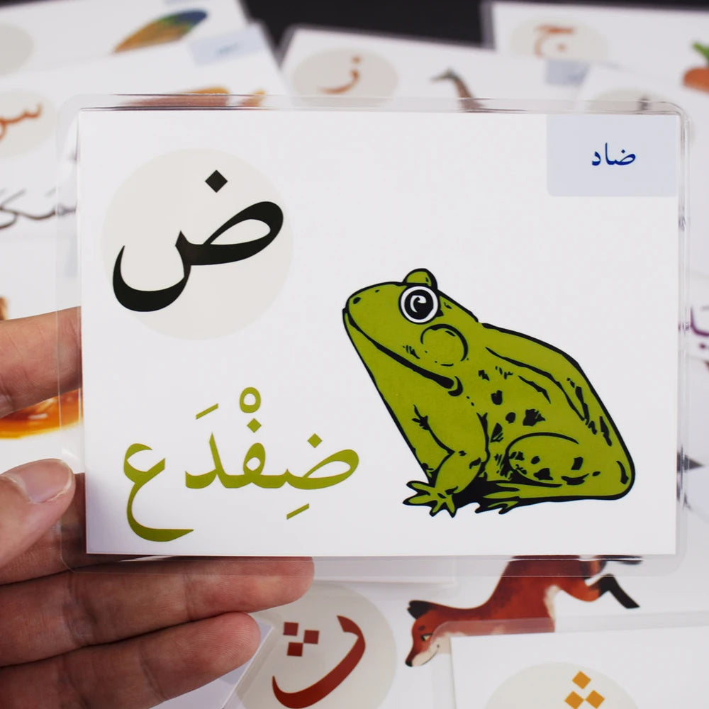 Arabic Alphabet Card Montessori Learning