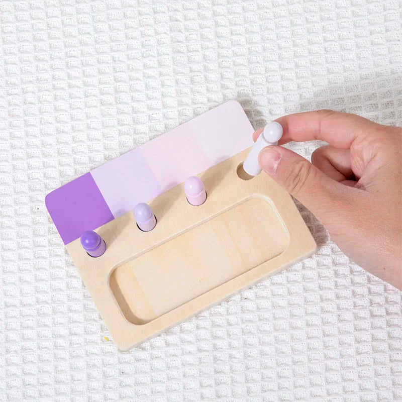 Wooden Montessori Toy Colors