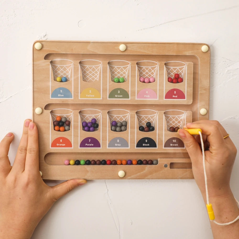 Magnetic board Basketball Sorting