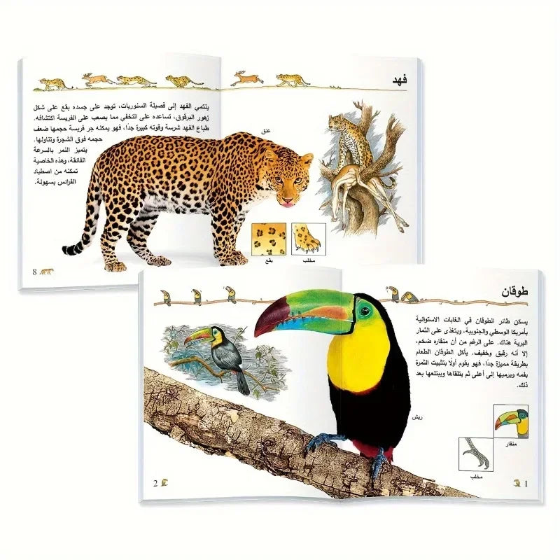 TEENBABY My First Arabic Encyclopedia Series -10 Book Set - Interactive Learning Books for 3+Year Old Children