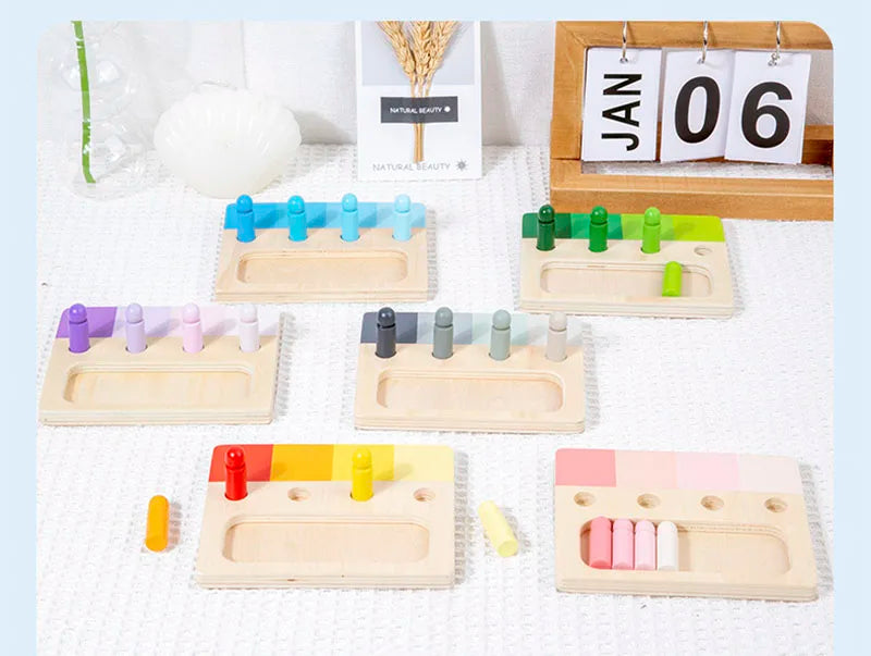 Wooden Montessori Toy Color Sense System Training Wood Insert Board 24 Color Children's Color Cognitive Matching Educational Toy