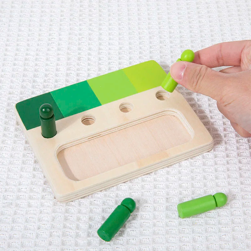 Wooden Montessori Toy Color Sense System Training Wood Insert Board 24 Color Children's Color Cognitive Matching Educational Toy