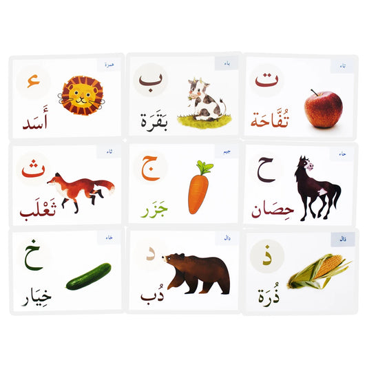 Arabic Alphabet Card Montessori Learning