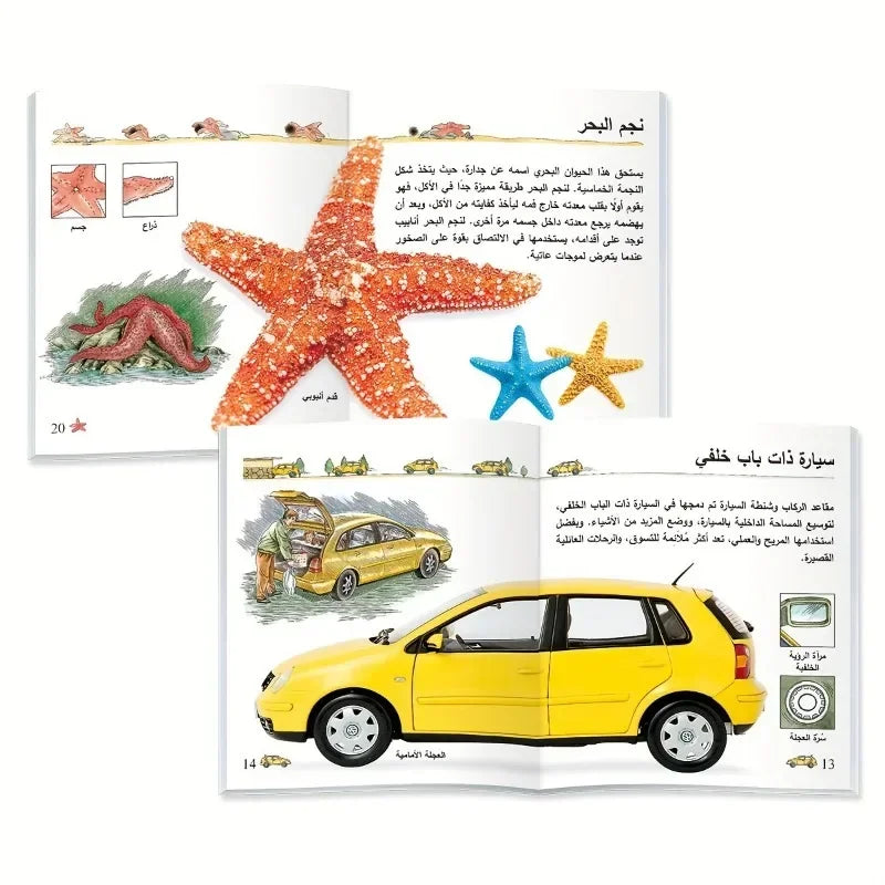 TEENBABY My First Arabic Encyclopedia Series -10 Book Set - Interactive Learning Books for 3+Year Old Children